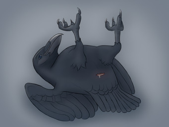 ambiguous_gender anatomically_correct animal_genitalia avian_butt avian_feet beak black_beak black_body black_feathers blue_eyes bodily_fluids claws cloaca feathered_wings feathers feet feet_up feral genital_fluids genitals gradient_background leaking looking_at_viewer lying on_back presenting presenting_cloaca simple_background solo talons toes wings kobirr avian bird corvid corvus_(genus) crow oscine passerine 4:3