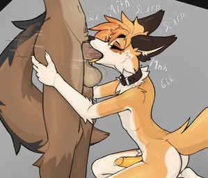 4_toes 5_fingers anthro arched_back balls biped black_body black_ears black_fur black_nose bodily_fluids brown_body brown_fur collar collar_only digitigrade duo erection eyeliner eyes_closed face_fucking feet fellatio femboy fingers fluffy fluffy_tail foreskin fur genital_fluids genitals glans glk grey_background hair hand_on_butt hindpaw irrumatio kneeling kneeling_oral_position makeup male male/male mascara moan navel neck_tuft nude onomatopoeia oral orange_body orange_fur orange_hair pawpads paws penile penis penis_in_mouth precum precum_bead sex simple_background slurp sound_effects tail text thrusting toes tuft white_body white_fur yellow_pawpads yellow_penis roonefox roone_(rvnatics) canid canine fox mammal 2024 alternate_version_at_source digital_media_(artwork) hi_res