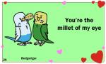 ambiguous_gender beak black_eyes duo feral heart_symbol holidays humor pun birdcheese valentine's_day avian bird budgerigar loriinae parakeet parrot true_parrot 5:3 animated digital_media_(artwork) low_res short_playtime