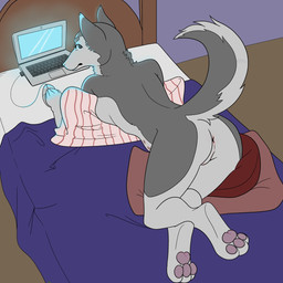 3_toes anthro anus barely_visible_genitalia barely_visible_vulva bed bird's-eye_view breasts butt computer computer_mouse crossed_legs electronics feet female fur furniture genitals high-angle_view inside laptop looking_back lying multicolored_body multicolored_fur nude on_bed on_front pawpads paws side_boob solo toes two_tone_body two_tone_fur vulva scummies7 canid canine canis domestic_dog husky mammal nordic_sled_dog spitz 1:1 2019 hi_res
