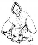 anthro ass_up dipstick_ears ear_markings female front_view looking_at_viewer multicolored_ears nude open_mouth raised_tail simple_background solo tail white_background wide_eyed doug_winger deer mammal 1993 5:6 black_and_white cross-hatching hatching_(art) monochrome shaded