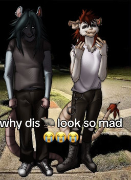 bandanna_on_tail black_bottomwear black_clothing black_hair black_pants black_shirt black_topwear boots bottomwear clothing crying_emoji cuff_(restraint) ear_piercing emoji female footwear fur grey_body grey_fur hair handcuffs long_hair male metal_cuffs mullet notched_ear pants piercing rat_tail red_hair restraints shirt shoes sneakers tail tank_top topwear white_body white_clothing white_fur white_shirt white_tank_top white_topwear amyarellano07 why_dis_look_so_mad_(meme) emma_(dumb_plague) zackary_(zachary_d'roxa) american_opossum mammal marsupial murid murine rat rodent meme trans_(lore) trans_woman_(lore)