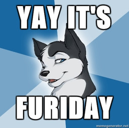 blue_eyes caption doing_it_wrong humor male smile solo unknown_artist sibe canid canine canis domestic_dog husky mammal nordic_sled_dog spitz 2010 headshot_portrait low_res meme portrait