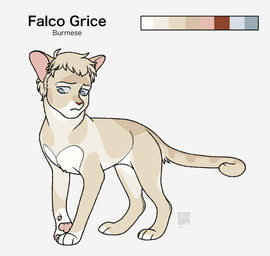ambiguous_gender blonde_hair feral feral_with_hair feralized fur grey_eyes hair looking_aside pawpads pink_pawpads quadruped red_nose simple_background solo tan_body tan_fur white_background white_body white_fur silveyytm attack_on_titan falco_grice burmese_cat domestic_cat felid feline felis mammal 2019 male_(lore)