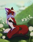 anthro bell blue_eyes breasts ear_bell ear_piercing ear_ring female fur meadow navel nipples paws piercing purple_ear red_body red_fur ring_piercing solo tail ebbakatten canid canine fox mammal absurd_res hi_res