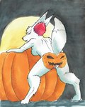 anthro breasts female food fruit fullcolor genitals nude plant pokemorph pumpkin pussy solo tail nyghtmar3 nintendo pokemon laura_(nyghtmar3) canid canine fennec_fox fennekin fox generation_6_pokemon mammal pokemon_(species) shiny_pokemon true_fox 4:5 hi_res traditional_media_(artwork)