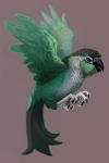 4_toes avian_feet beak black_beak black_eyes claws countershading feathered_wings feathers feet feral green_body green_feathers simple_background solo toes white_body white_feathers wings zygodactyl alradeck conditional_dnp avian bird 2012 2:3 digital_media_(artwork)