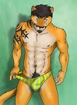 anthro black_body black_fur black_hair blue_eyes briefs briefs_only briefs_pull bulge clothed clothing clothing_pull detailed_background detailed_bulge facial_hair fur genital_outline goatee green_background green_briefs green_clothing green_underwear hair male navel nipples orange_body orange_fur penis_outline pubes shadow simple_background smile solo striped_briefs tan_body tan_fur tattoo topless underwear underwear_only underwear_pull yellow_briefs yellow_clothing yellow_underwear leomagna felid feline mammal