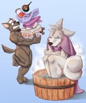 anthro cold duo first_aid_kit hot_tub male medical_instrument scientific_instrument coughee_aholic housepets! fox_(housepets!) mungo_(housepets!) canid canine canis domestic_dog husky mammal nordic_sled_dog spitz absurd_res hi_res