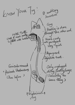 ambiguous_gender amputee anal anal_penetration anthro diagram dildo dildo_in_ass dildo_in_mouth dildo_insertion disability earplugs internal missing_all_arms missing_all_legs missing_all_limbs missing_arm missing_leg missing_limb nasal_tube nullo object_in_ass oral oral_penetration penetration perineal_urethrostomy quadruple_amputee sex_toy sex_toy_in_ass sex_toy_in_mouth sex_toy_insertion simplified_guts slim_anthro slim_sub solo submissive submissive_anthro text iniratua canid canine fox mammal english_text hi_res monochrome