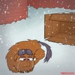 1:1 ambiguous_gender bodily_fluids box brick_wall brown_body brown_fur brown_hair cardboard cardboard_box container crying feral fluffy_pony fluffy_pony_(species) fur hair hi_res mammal marakasaya1 red_eyes snow solo tears wall_(structure)