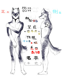 anthro athletic athletic_anthro athletic_male biped black_body black_fur fur green_eyes male nude_anthro nude_male solo standing text white_body white_fur cyanusowo canid canine canis mammal wolf 2019 chinese_text english_text hard_translated hi_res model_sheet translated