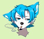 black_nose blue_body blue_fur blue_hair cigarette cigarette_in_mouth fur hair object_in_mouth smoking smoking_cigarette solo white_body white_fur cherry_beries canid canine mammal 2024 digital_drawing_(artwork) digital_media_(artwork) headshot_portrait portrait