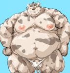 anthro asian_clothing balls belly big_belly blue_background blush bulge clothing east_asian_clothing flaccid fupa genitals humanoid_hands japanese_clothing male moobs navel nipples obese obese_anthro obese_male overweight overweight_anthro overweight_male penis simple_background solo thong underwear white_clothing white_underwear kotobuki bovid bovine cattle mammal 2019 hi_res