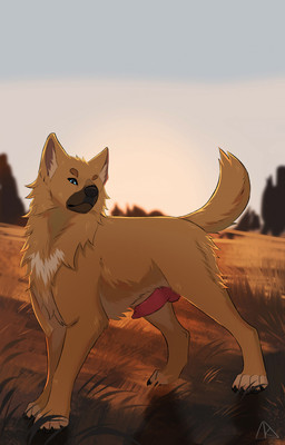anatomically_correct anatomically_correct_feral anatomically_correct_genitalia animal_genitalia animal_penis black_claws black_nose blue_eyes brown_markings canine_genitalia canine_penis claws erection feral fur genitals grass knot knotted_penis male markings monotone_tail nude orange_body orange_fur outside penis plant realistic_feral red_penis sky solo tail white_markings midzushiro canid canine canis domestic_dog mammal absurd_res colored digital_drawing_(artwork) digital_media_(artwork) hi_res shaded