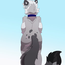 anthro anus ass_up backsack balls blue_eyes blush butt collar dipstick_ears dipstick_tail ear_markings erection eyewear femboy fur genitals glasses grey_body hair leaning leaning_forward looking_at_viewer looking_away looking_back looking_back_at_viewer male markings multicolored_ears nude penile_spines penis pink_nose presenting presenting_anus presenting_balls presenting_hindquarters presenting_penis raised_tail rear_focus rear_view shy simple_background smile solo spots spotted_markings tail tail_markings thick_thighs tuft jonky nixuelle domestic_cat egyptian_mau felid feline felis mammal 1:1 2025 2d_animation animated digital_media_(artwork) frame_by_frame