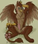 anthro balls beak blue_eyes brown_body brown_feathers brown_fur erection feathered_wings feathers fur genitals humanoid_genitalia humanoid_penis male nude penis simple_background solo spread_legs spreading tail wings oce mythology chester_featherwing avian gryphon mythological_avian mythological_creature 2015