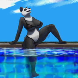 anthro areola black_body black_fur breasts female fur genitals multicolored_body multicolored_fur nipples overweight poolside solo two_tone_body two_tone_fur vulva white_body white_fur wide_hips andy_234 vicky_panda_(andy234) bear giant_panda mammal 1:1 hi_res