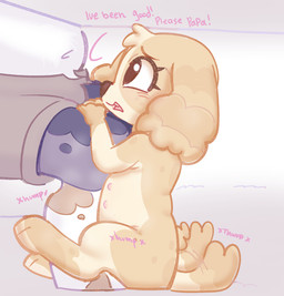 anthro begging begging_for_sex duo female humping leg_humping male male/female solo young young_female mushy reesee bird_dog canid canine canis domestic_dog hunting_dog mammal spaniel hi_res