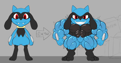 ambiguous_gender anthro big_muscles blue_body blue_fur expansion fur gameplay_mechanics growth huge_muscles hyper hyper_muscles looking_at_viewer muscle_growth muscular muscular_anthro pecs simple_background smile solo vezerem nintendo pokemon canid canine generation_4_pokemon mammal pokemon_(species) riolu hi_res sequence
