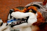 ambiguous_gender ambiguous_pred anthro bus clothing commercial_vehicle costume eating fangs fursuit looking_at_viewer macro object_ingestion object_vore public_transportation real solo teeth vehicle vehicle_for_hire vore yellow_eyes unknown_artist rogue_(character) canid canine canis mammal wolf