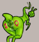 anthro anus butt gesture male musk musk_clouds presenting presenting_anus presenting_hindquarters puffy_anus solo text text_on_body waving waving_at_viewer hhbrother manny_(hhbrother) arthropod insect mantis sketch