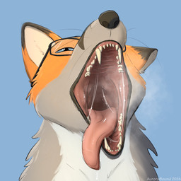 bodily_fluids countershading dripping eyewear fur glasses grey_body grey_fur looking_at_viewer oral_vore orange_body orange_fur saliva saliva_drip saliva_on_tongue throat vore wearing_glasses aurorabound canid canine fox mammal hi_res