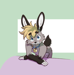 alternate_species anthro black_body black_ears black_fur blonde_hair blue_collar blue_eyes collar collar_tag fingerless_(marking) fingerless_gloves_(marking) fur geometric_background gloves_(marking) grey_body grey_fur hair humanoid_hands inner_ear_fluff leaning leaning_forward leaning_on_table looking_at_viewer male markings short_tail simple_background solo tail tuft wearing_collar white_body white_fur white_inner_ear_fluff scuzzyfox scuzzy_(scuzzyfox) lagomorph mammal absurd_res digital_drawing_(artwork) digital_media_(artwork) hi_res shaded