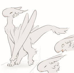 beak blind cheek_tuft claws disability ears_back eyes_closed facial_tuft feathers female feral fluffy leg_tuft open_beak open_mouth paws pink_beak pivoted_ears solo tail tail_tuft tuft white_body white_feathers winged_arms wings tateoftot european_mythology mythology saphiel_(tateoftot) avian bird dragon feathered_dragon feathered_scalie feathered_wyvern mythological_creature mythological_scalie scalie western_dragon wyvern hi_res