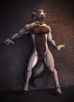 animal_genitalia anthro athletic athletic_anthro athletic_male balls black_body black_fur collar fully_sheathed fur genitals grey_body grey_eyes grey_fur male male_anthro neck_tuft nipples nude nude_anthro nude_male open_mouth sheath solo standing tail teeth tuft white_body white_fur i-psilone canid canine canis mammal wolf 2017 hi_res