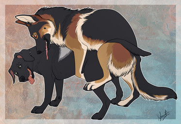 ambiguous_gender ambiguous_penetration black_body black_fur claws digitigrade doggystyle duo eye_contact feral feral_on_feral feral_penetrated feral_penetrating from_behind_position fur green_eyes inner_ear_fluff looking_at_another male male/ambiguous mounting open_mouth orange_eyes pawpads paws penetration raised_leg rounded_back sex teeth toe_claws tongue tongue_out tuft hybernation bird_dog canid canine canis domestic_dog german_shepherd herding_dog hunting_dog labrador mammal pastoral_dog retriever male_(lore)