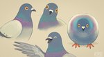 ambiguous_gender beak eyes_closed feathers feral grey_body grey_feathers orange_eyes purple_body purple_feathers simple_background solo standing tan_background wings ka92 avian bird columbid pigeon rock_dove 2020 hi_res multiple_images