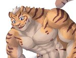 clothed clothing countershading looking_down male simple_background solo topless white_background bbrt534 nekojishi studio_klondike lin_hu felid mammal pantherine tiger hi_res