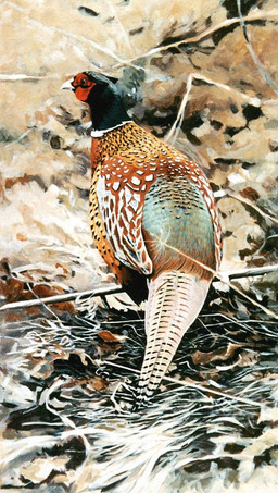 black_markings brown_body brown_feathers feathers feral leaf markings multicolored_body multicolored_feathers solo stick tan_body tan_feathers teal_body teal_feathers white_body white_feathers white_markings yellow_body yellow_feathers renum63 avian bird common_pheasant galliform phasianid pheasant 2013 acrylic_painting_(artwork) painting_(artwork) traditional_media_(artwork) traditional_painting_(artwork)
