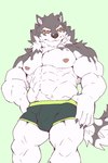 abs anthro biped bulge clothing detailed_bulge fur green_eyes male male_anthro multicolored_body multicolored_fur muscular muscular_anthro muscular_male nipples pecs red_sclera solo underwear heylaw21 lifewonders live_a_hero monomasa canid canine canis domestic_dog husky mammal nordic_sled_dog spitz hi_res