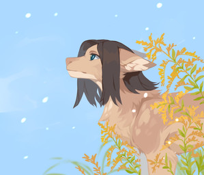 blue_background blue_eyes brown_body brown_fur brown_hair cheek_tuft chest_tuft dark_hair facial_tuft female feral fur glistening glistening_eyes hair inner_ear_fluff mouth_closed side_view simple_background solo tan_body tan_fur tan_inner_ear_fluff tuft unsigned corzh77 mythology dragon furred_dragon furred_scalie mythological_creature mythological_scalie scalie absurd_res hi_res