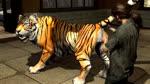 bestiality duo female female/female feral feral_penetrated fingering genitals human_on_feral interspecies penetration pussy realistic_feral vaginal vaginal_fingering nicobay_(artist) naughty_dog sony_corporation sony_interactive_entertainment the_last_of_us ellie_(tlou) felid human mammal pantherine tiger 16:9 3d_(artwork) animated digital_media_(artwork) hi_res high_framerate no_sound short_playtime source_filmmaker_(artwork) webm widescreen