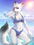 2021 3:4 anthro arctic_fox arm_tuft beach bikini black_nose black_tail_tip blue_bikini blue_clothing blue_eyes blue_swimwear breasts canid canine cheek_tuft chest_tuft claws clothed clothing day dipstick_ears dipstick_tail ear_markings elbow_tuft facial_tuft female finger_claws fingers fox fur head_tuft hi_res inner_ear_fluff lens_flare mammal markings multicolored_ears multicolored_tail navel nymnwales open_mouth portrait sea seaside smile solo standing summer swimwear tail tail_markings three-quarter_portrait true_fox tuft water white_body white_fur willow_(goldenfox444)
