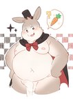 anthro balls belly cape clothing erection erection_under_towel genitals hat headgear headwear kemono magician male moobs navel nipples overweight penis solo top_hat towel porkflo55 lagomorph leporid mammal rabbit absurd_res hi_res