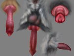 ambiguous_form anatomically_correct anatomically_correct_genitalia anatomically_correct_penis animal_genitalia animal_penis anus balls canine_genitalia canine_penis erection fur genital_shot genitals glistening glistening_genitalia glistening_penis gradient_penis grey_background grey_balls grey_body grey_fur grey_sheath knot male penis penis_shot perineum pink_penis red_penis sheath simple_background solo tan_body tan_fur urethra skyelegs canid mammal 4:3