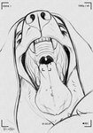 anthro black_lips camera_view female fur lips looking_at_viewer mouth_shot nun nun_outfit open_mouth simple_background snout solo teeth throat timestamp tongue tongue_out uvula taylornoir canid canine canis domestic_dog mammal 2024 artist_name headshot_portrait hi_res monochrome portrait signature sketch