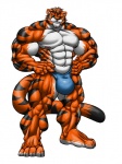 abs anthro athletic biceps big_muscles brown_hair bulge clothed clothing fur green_eyes hair looking_at_viewer male muscular muscular_anthro muscular_male nipples orange_body orange_fur pecs simple_background solo stripes tail thong topless underwear white_background white_body white_fur zeusralo felid mammal pantherine tiger hi_res