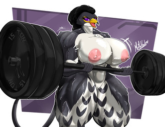 5_fingers abs abstract_background anthro areola barbell beak big_areola big_breasts black_body black_feathers black_hair bodily_fluids breasts curvy_figure exercise eyelashes feathers female fingers genitals hair huge_areola huge_breasts huge_thighs long_tail motion_lines multicolored_body multicolored_feathers muscular muscular_anthro muscular_female nipples nude open_mouth purple_eyes purple_sclera solo sweat sweatdrop tail text thick_thighs two_tone_body two_tone_feathers vulva weightlifting white_body white_feathers wide_hips workout mrmelted charlotte_(charlottebirb) avian bird 2024 absurd_res artist_name digital_drawing_(artwork) digital_media_(artwork) hi_res signature