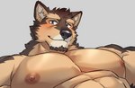 abs anthro brown_body brown_fur canid canine canis domestic_dog fur lifewonders live_a_hero looking_at_viewer male mammal muscular muscular_anthro muscular_male nipples oaks16 pecs pubraseer purple_eyes solo