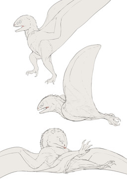 4_eyes 4_toes ambiguous_gender biped butt claws feet feral flying looking_at_self lying membrane_(anatomy) membranous_wings multi_eye nude on_back open_mouth pink_mouth side_view simple_background solo spread_wings standing tailless teeth three-quarter_view toes tongue walking white_background white_body wings zw3 european_mythology mythology dragon mythological_creature mythological_scalie scalie tailless_wyvern western_dragon wyvern 2:3 absurd_res digital_media_(artwork) hi_res model_sheet sketch