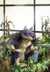 anthro male nude plant solo asterionblazing canid canine canis mammal wolf 2011