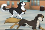 duo feral male race snow town winter arovan balto_(series) universal_studios hato_the_collie steele_(balto) alaskan_malamute border_collie canid canine canis collie domestic_dog herding_dog mammal nordic_sled_dog pastoral_dog sheepdog spitz