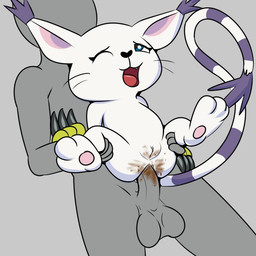 anal anal_penetration balls blue_eyes claws clothing coprophilic_intercourse dirty_anal duo fangs feces female feral genitals gloves handwear heart_nose heart_symbol long_tail male male/female markings one_eye_closed pawpads paws penetration penis purple_markings scatplay semi-anthro sex solo_focus tail tail_markings teeth vulva whiskers white_body unknown_artist bandai_namco digimon anon digimon_(species) felid feline felis gatomon human mammal 1:1