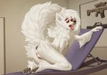 2021 anthro anus black_anus black_nipples black_pussy breasts canid canine canis deymos digital_media_(artwork) female fluffy fluffy_tail genitals hi_res looking_back mammal massage_table nipples paws presenting pussy shaded solo tail tala_(teveriss) tongue tongue_out wolf