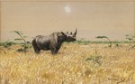 ambiguous_gender day feral grass grey_body grey_skin horn outside plant quadruped solo tree friedrich_wilhelm_kuhnert public_domain mammal rhinoceros absurd_res ancient_art hi_res signature traditional_media_(artwork)